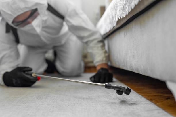 Professional Cockroach Control technician working in Lincoln, CA