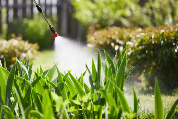 24/7 Emergency Cockroach Control experts in Lincoln, CA